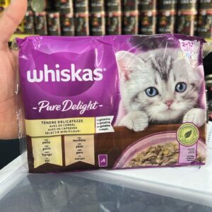 Whiskas gelee junior t4