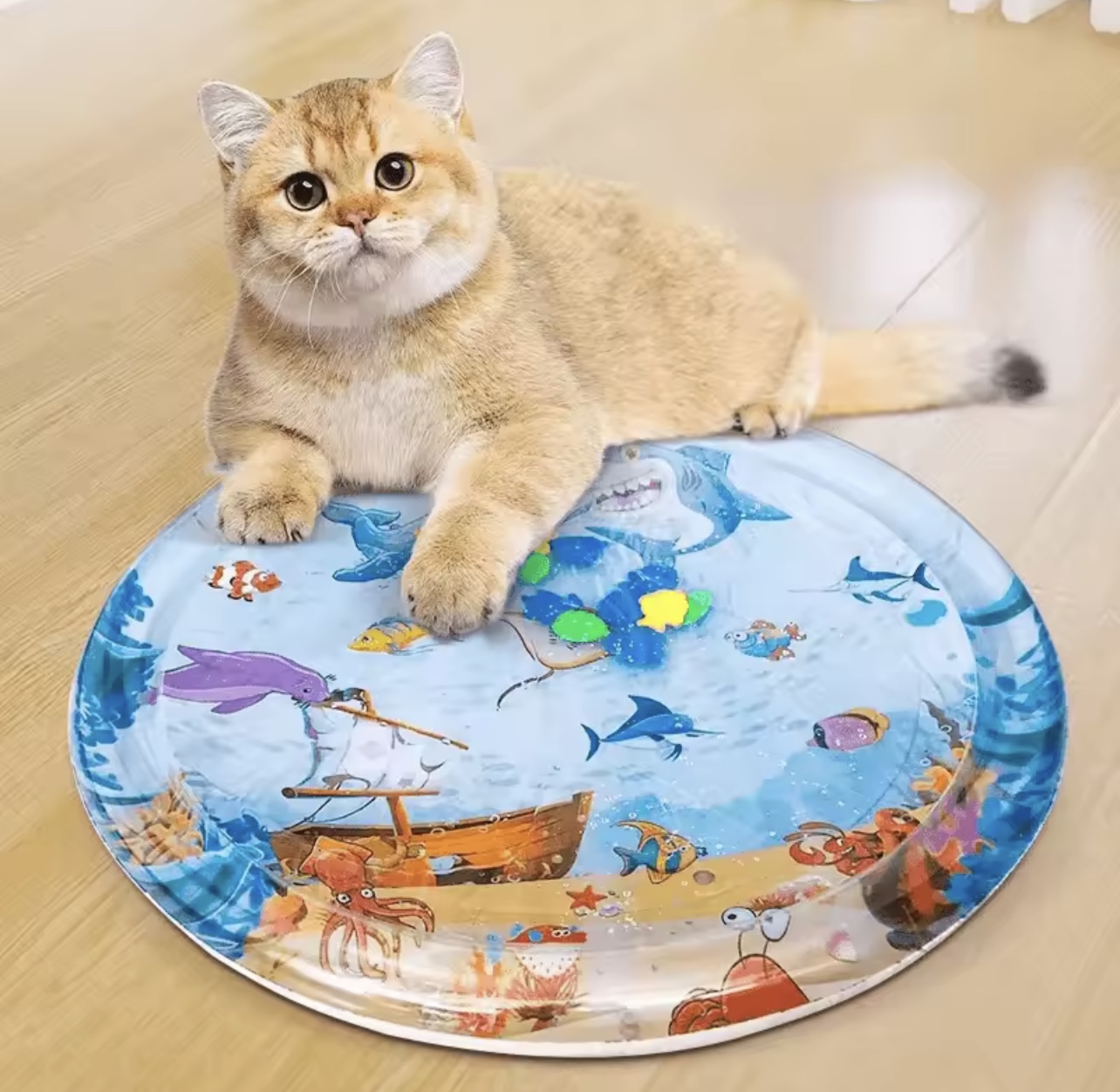 Bouet de jeux pour chat gm