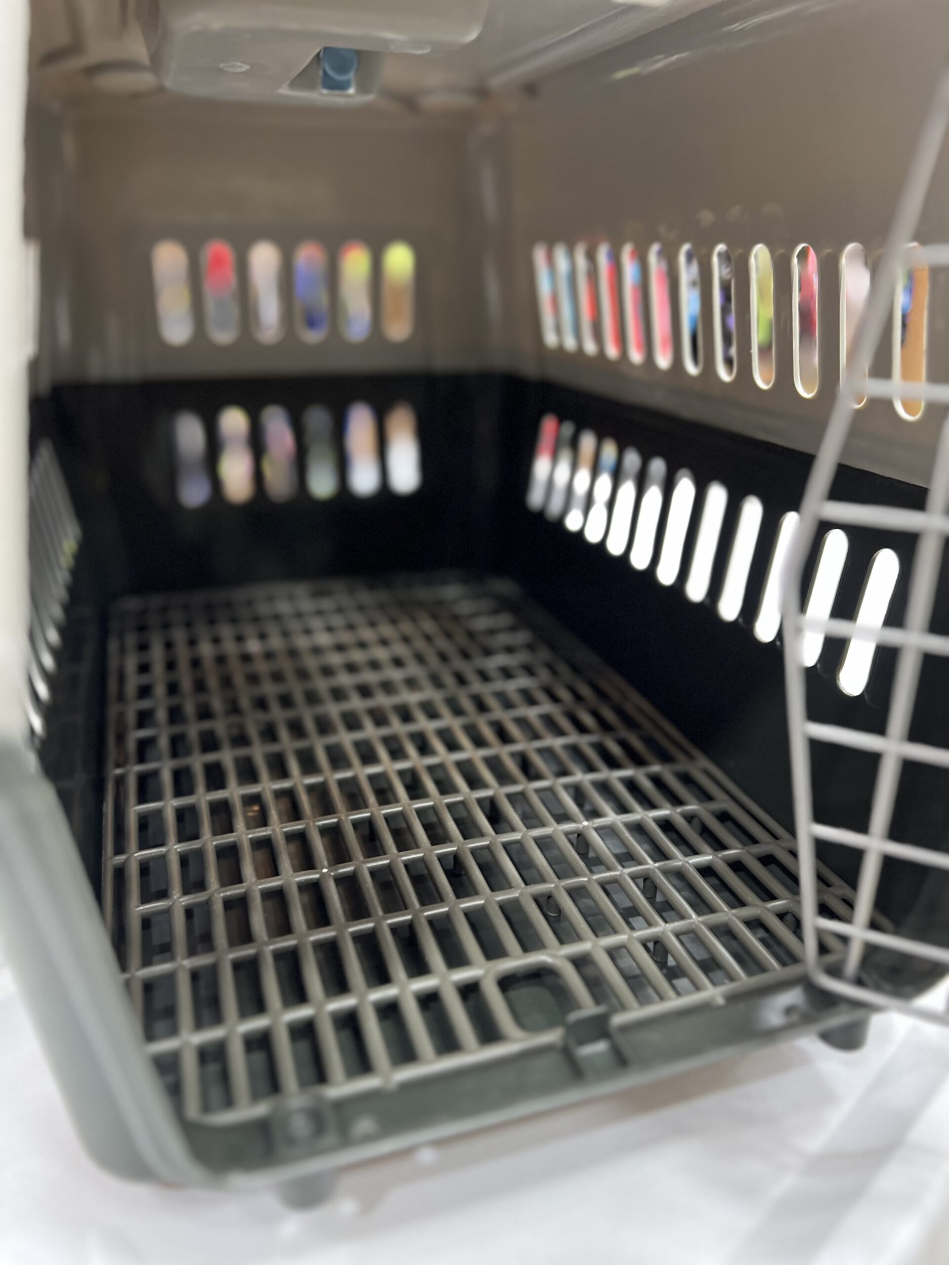 Cage de transport pour chat avec gamelle 😻 – Image 2