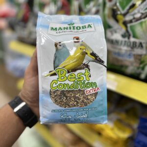 Manitoba best condition oiseaux 🐦