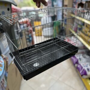 Cage seperation cannari 🐥