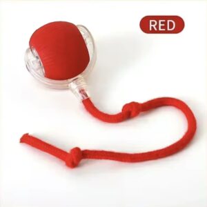 Balle électrique chats et chien 02