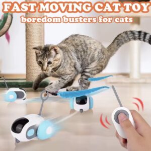 Jouer voiture électrique pour chats 🚗