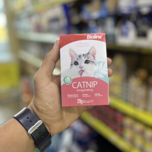 Catnip pour chats 🍵
