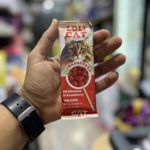 Loli cat sucette 🍭