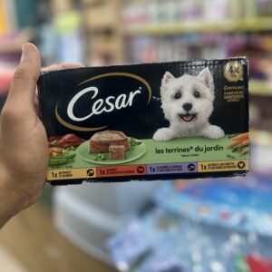 Cesar barquette 150g pour chiens 🐶