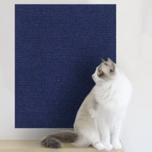 Tapis griffer 60cm*1m